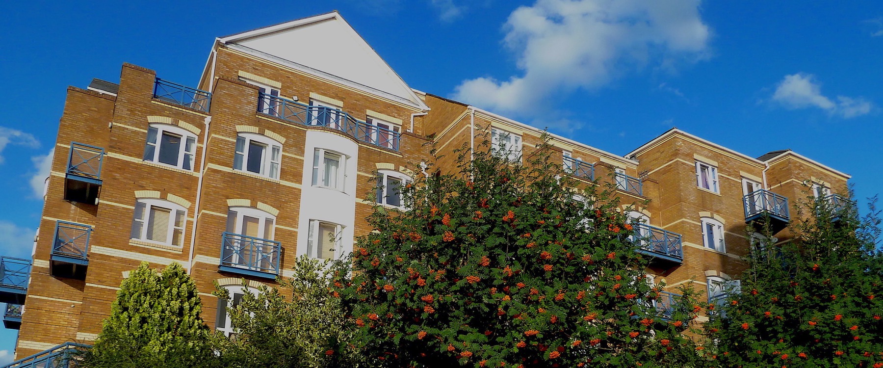 View of King & Queen Wharf behind some trees